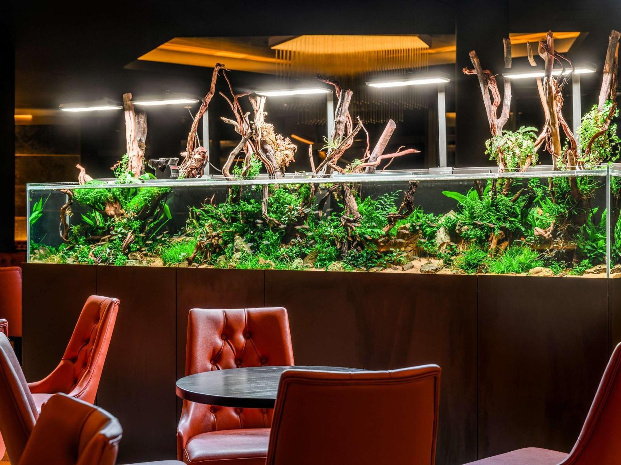 Minaro Hotel Tokaj Mgallery - Adult Only Exterior foto A planted freshwater aquarium